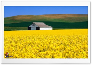 y684 4K UHD Wallpaper for Widescreen and UltraWide Desktop, UltraHD TV, Smartphone, Tablet