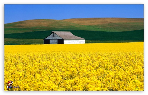 y684 UltraHD Wallpaper for Widescreen 16:10 ;