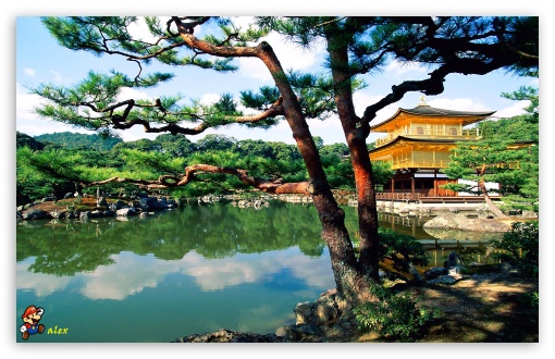 y686 UltraHD Wallpaper for Widescreen 16:10 ;