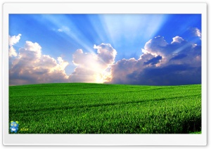y689 4K UHD Wallpaper for Widescreen and UltraWide Desktop, UltraHD TV, Smartphone, Tablet
