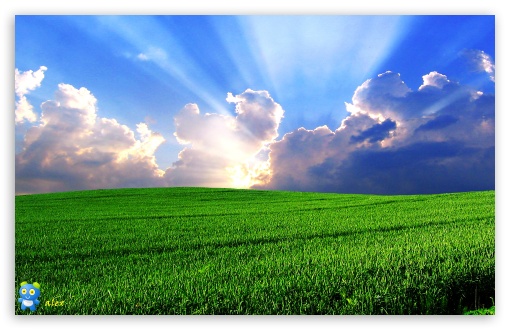 y689 UltraHD Wallpaper for Widescreen 16:10 ;