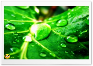 y690 4K UHD Wallpaper for Widescreen and UltraWide Desktop, UltraHD TV, Smartphone, Tablet