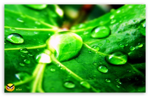 y690 UltraHD Wallpaper for Widescreen 16:10 ;