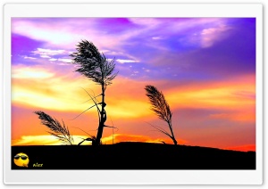 y691 4K UHD Wallpaper for Widescreen and UltraWide Desktop, UltraHD TV, Smartphone, Tablet