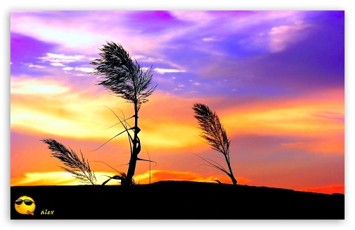 y691 UltraHD Wallpaper for Widescreen 16:10 ;