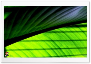 y692 4K UHD Wallpaper for Widescreen and UltraWide Desktop, UltraHD TV, Smartphone, Tablet