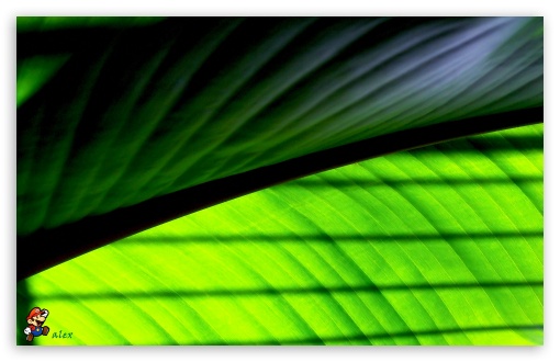 y692 UltraHD Wallpaper for Widescreen 16:10 ;