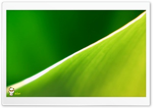 y693 4K UHD Wallpaper for Widescreen and UltraWide Desktop, UltraHD TV, Smartphone, Tablet