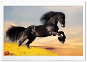 y733 4K UHD Wallpaper for Widescreen and UltraWide Desktop, UltraHD TV, Smartphone, Tablet
