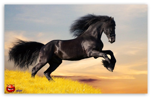 y733 UltraHD Wallpaper for Widescreen 16:10 ;