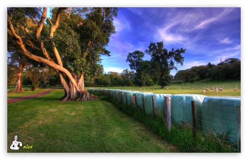 y738 UltraHD Wallpaper for Widescreen 16:10 ;