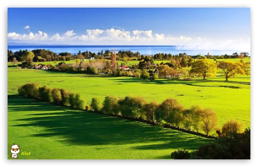 y739 UltraHD Wallpaper for Widescreen 16:10 ;