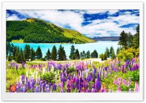 y742 4K UHD Wallpaper for Widescreen and UltraWide Desktop, UltraHD TV, Smartphone, Tablet