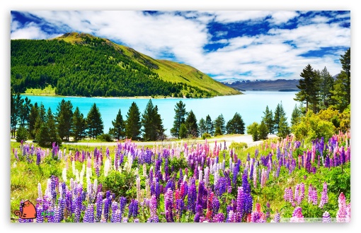 y742 UltraHD Wallpaper for Widescreen 16:10 ;