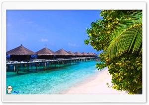 y743 4K UHD Wallpaper for Widescreen and UltraWide Desktop, UltraHD TV, Smartphone, Tablet