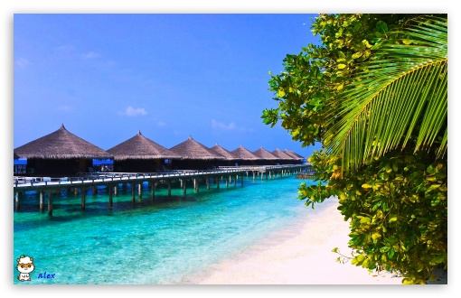 y743 UltraHD Wallpaper for Widescreen 16:10 ;