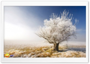 y754 4K UHD Wallpaper for Widescreen and UltraWide Desktop, UltraHD TV, Smartphone, Tablet