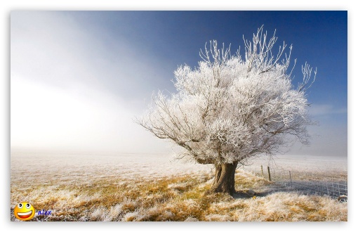 y754 UltraHD Wallpaper for Widescreen 16:10 ;