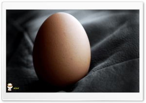 y763 4K UHD Wallpaper for Widescreen and UltraWide Desktop, UltraHD TV, Smartphone, Tablet