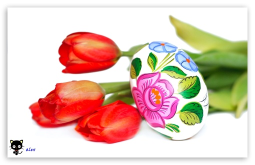 y765 UltraHD Wallpaper for Widescreen 16:10 ;