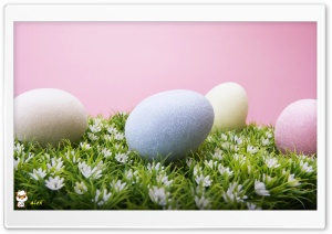 y767 4K UHD Wallpaper for Widescreen and UltraWide Desktop, UltraHD TV, Smartphone, Tablet