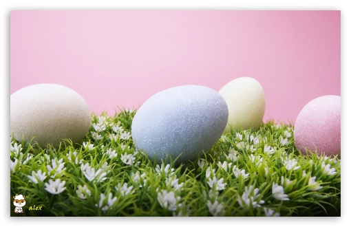 y767 UltraHD Wallpaper for Widescreen 16:10 ;