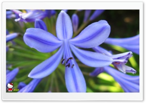 y772 4K UHD Wallpaper for Widescreen and UltraWide Desktop, UltraHD TV, Smartphone, Tablet