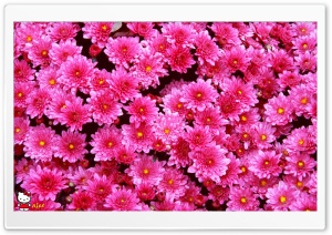 y780 4K UHD Wallpaper for Widescreen and UltraWide Desktop, UltraHD TV, Smartphone, Tablet