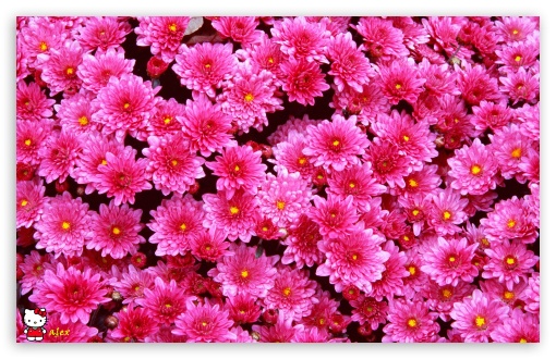 y780 UltraHD Wallpaper for Widescreen 16:10 ;