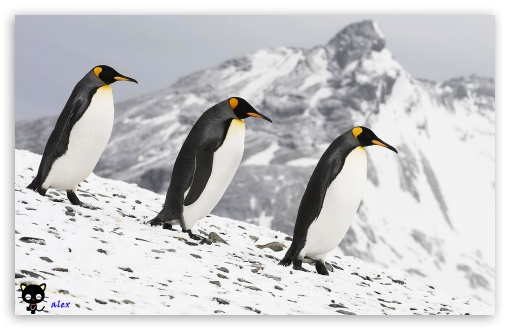 y794 UltraHD Wallpaper for Widescreen 16:10 ;