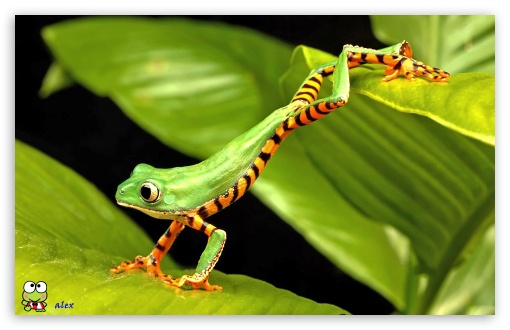 y801 UltraHD Wallpaper for Widescreen 16:10 ;