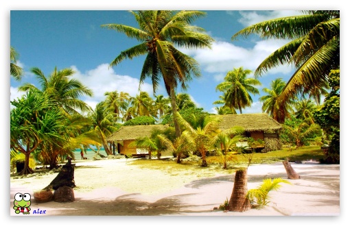 y804 UltraHD Wallpaper for Widescreen 16:10 ;