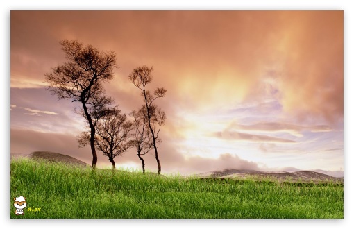 y825 UltraHD Wallpaper for Widescreen 16:10 ;