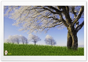 y830 4K UHD Wallpaper for Widescreen and UltraWide Desktop, UltraHD TV, Smartphone, Tablet