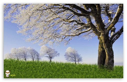 y830 UltraHD Wallpaper for Widescreen 16:10 ;