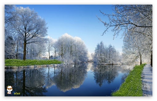 y835 UltraHD Wallpaper for Widescreen 16:10 ;