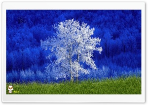y836 4K UHD Wallpaper for Widescreen and UltraWide Desktop, UltraHD TV, Smartphone, Tablet