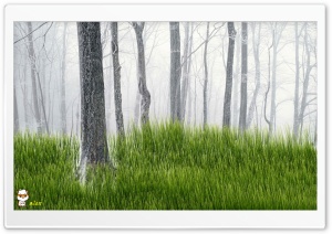 y839 4K UHD Wallpaper for Widescreen and UltraWide Desktop, UltraHD TV, Smartphone, Tablet
