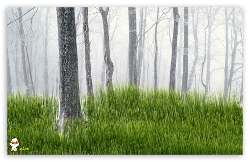 y839 UltraHD Wallpaper for Widescreen 16:10 ;