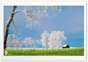 y842 4K UHD Wallpaper for Widescreen and UltraWide Desktop, UltraHD TV, Smartphone, Tablet