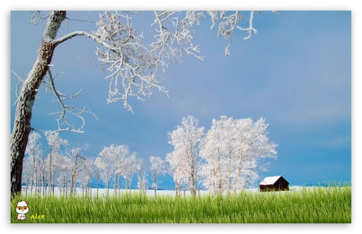 y842 UltraHD Wallpaper for Widescreen 16:10 ;