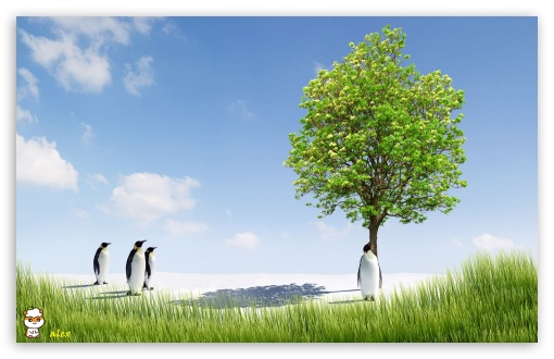 y843 UltraHD Wallpaper for Widescreen 16:10 ;