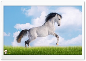 y844 4K UHD Wallpaper for Widescreen and UltraWide Desktop, UltraHD TV, Smartphone, Tablet