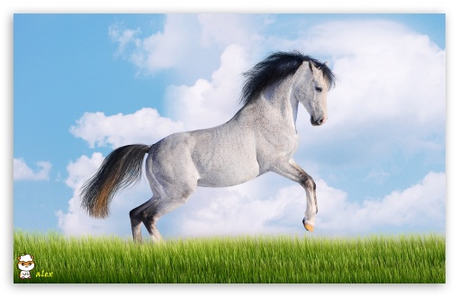 y844 UltraHD Wallpaper for Widescreen 16:10 ;