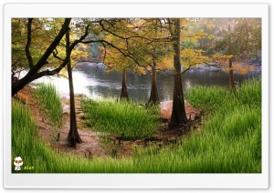 y847 4K UHD Wallpaper for Widescreen and UltraWide Desktop, UltraHD TV, Smartphone, Tablet