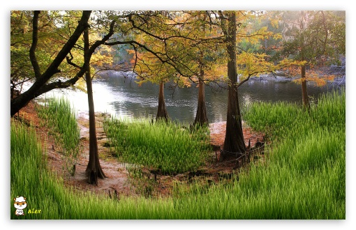 y847 UltraHD Wallpaper for Widescreen 16:10 ;