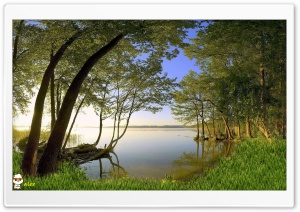 y849 4K UHD Wallpaper for Widescreen and UltraWide Desktop, UltraHD TV, Smartphone, Tablet
