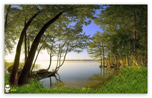 y849 UltraHD Wallpaper for Widescreen 16:10 ;