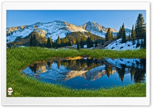 y850 4K UHD Wallpaper for Widescreen and UltraWide Desktop, UltraHD TV, Smartphone, Tablet