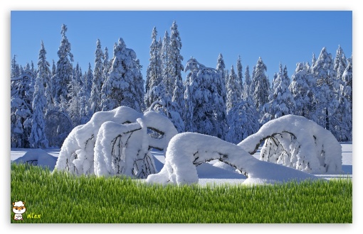 y856 UltraHD Wallpaper for Widescreen 16:10 ;